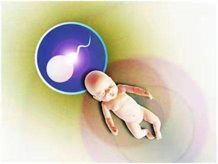 案例